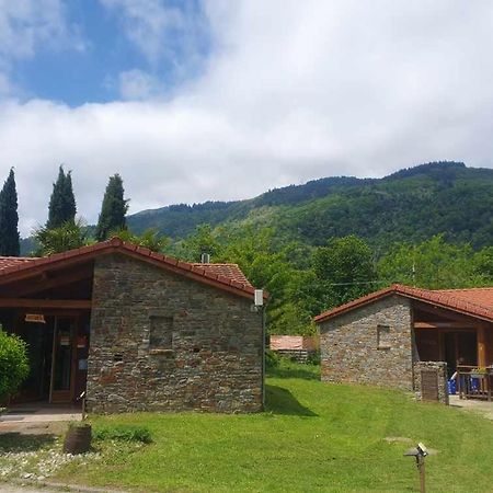 Chalets A 10 Minutes De Foix Mercus-Garrabet Ngoại thất bức ảnh